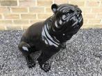 Zwarte zittende bulldog, Nieuw, Kunststof, Ophalen, Dierenbeeld