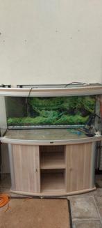 Aquarium 250 litres avec meubles, Comme neuf, Enlèvement