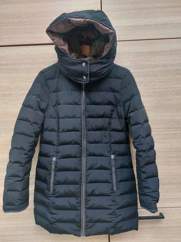 Winterjas mantel dames 36 smal gewatteerd parka parkajas  beschikbaar voor biedingen