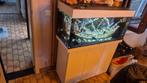 Te. Koop   juwel  aquarium, Dieren en Toebehoren, Ophalen of Verzenden