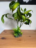 Aquarium decoratie, Dieren en Toebehoren, Ophalen