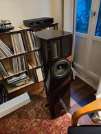 Apertura Edena Evolution - Vloerstaande luidsprekers, Audio, Tv en Foto, Luidsprekerboxen, Ophalen of Verzenden, Zo goed als nieuw