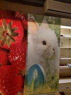 élement décoratif Pâques lapin fraises, Divers, Pâques, Enlèvement