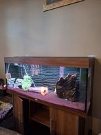 Aquarium Juwel, Ophalen of Verzenden, Gebruikt