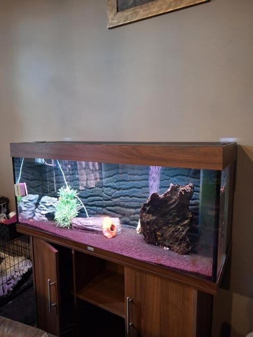 Aquarium Juwel, Dieren en Toebehoren, Vissen | Aquaria en Toebehoren, Gebruikt, Ophalen of Verzenden