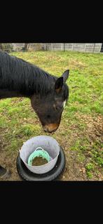 Paard te koop, Animaux & Accessoires, Chevaux & Poneys | Couvertures & Couvre-reins, Enlèvement ou Envoi, Comme neuf