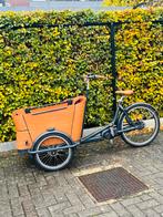 elektrische Babboe Curve Mountain bakfiets, Ophalen of Verzenden, Nieuw, 4 kinderen of meer, Elektrisch