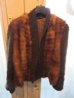 Aalst carnaval: Velle frak. (M)(muskusrat), Ophalen, Gebruikt, Kostuum