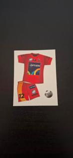 Panini voetbal 2013, Verzamelen