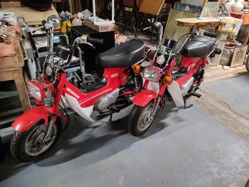 2 Honda Chaly's 70cc