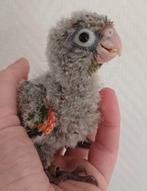 Super lieve baby roodkop pyrrhura's te reserveren, Dieren en Toebehoren, Vogels | Parkieten en Papegaaien, Tam