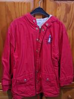 Veste rouge Kid Cool taille M (10 - 12 ans), Ophalen, Gebruikt, Jongen of Meisje, Trui of Vest