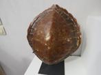 Bouclier de tortue sur un piédestal, Antiquités & Art, Curiosités & Brocante, Enlèvement ou Envoi