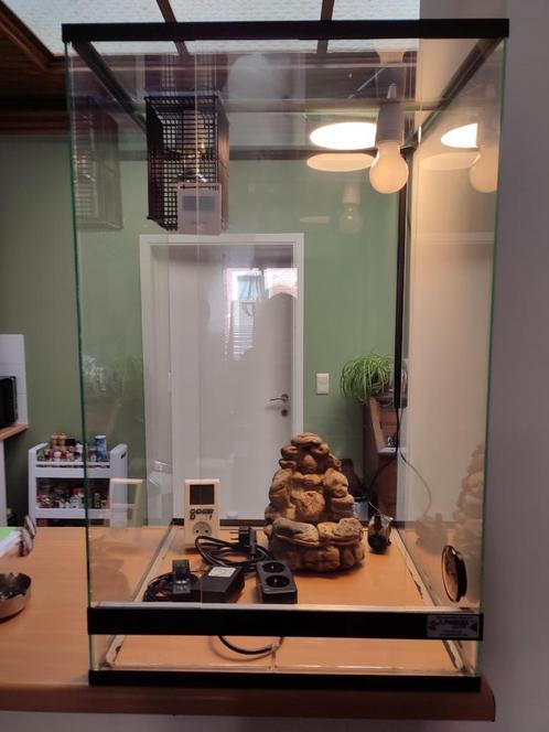 Terrarium, Dieren en Toebehoren, Reptielen en Amfibieën | Toebehoren, Zo goed als nieuw, Terrarium of Paludarium, Ophalen