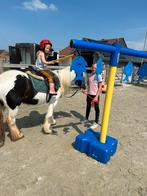 Prachtige bomproof irish cob