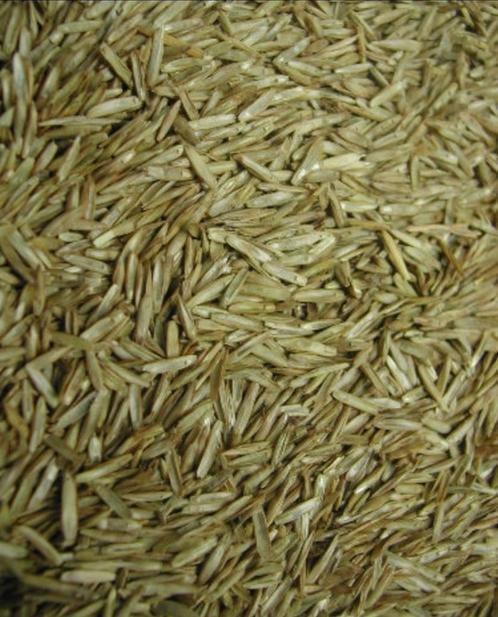 Graszaad ( 2 soorten ) - Enkelvoudige zaden - Winkel en Webs, Dieren en Toebehoren, Dierenvoeding, Ophalen of Verzenden
