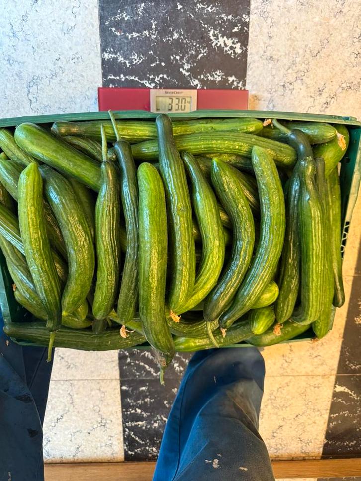 Vers tuin groenten/ KASTANJES 🌰, Zakelijke goederen, Kantoor en Winkelinrichting | Winkel en Inventaris, Ophalen