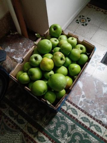 Groene appels uit de tuin voor compote, cider of sap beschikbaar voor biedingen