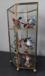 bel ensemble de 12 oiseaux colorés en porcelaine, vitrine, Enlèvement ou Envoi