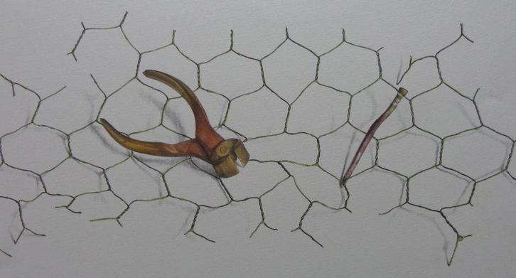 PETRUS VALCKX / KNIPTANG / ZW-W LITHO + AQUAREL / 38x56cm, Antiquités & Art, Art | Lithographies & Sérigraphies, Enlèvement ou Envoi