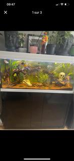 Aquarium, Animaux & Accessoires, Poissons | Aquariums & Accessoires, Enlèvement, Comme neuf