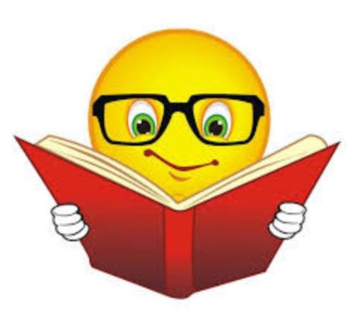 108 - High-Five - Lizzie McGuire, Boeken, Kinderboeken | Jeugd | 13 jaar en ouder, Zo goed als nieuw, Fictie, Ophalen of Verzenden