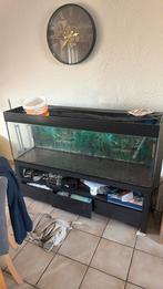 Aquaruim te koop 450 liter, Animaux & Accessoires, Poissons | Aquariums & Accessoires, Enlèvement ou Envoi, Comme neuf