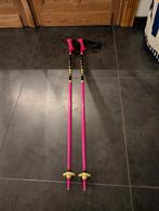 Leki skistokken 100cm, Sport en Fitness, Skiën en Langlaufen, Ophalen