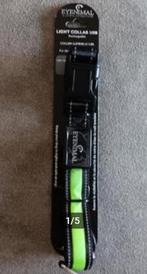 Collier NEUF lumineux jaune rechargeable USB chien, Ophalen of Verzenden, Nieuw