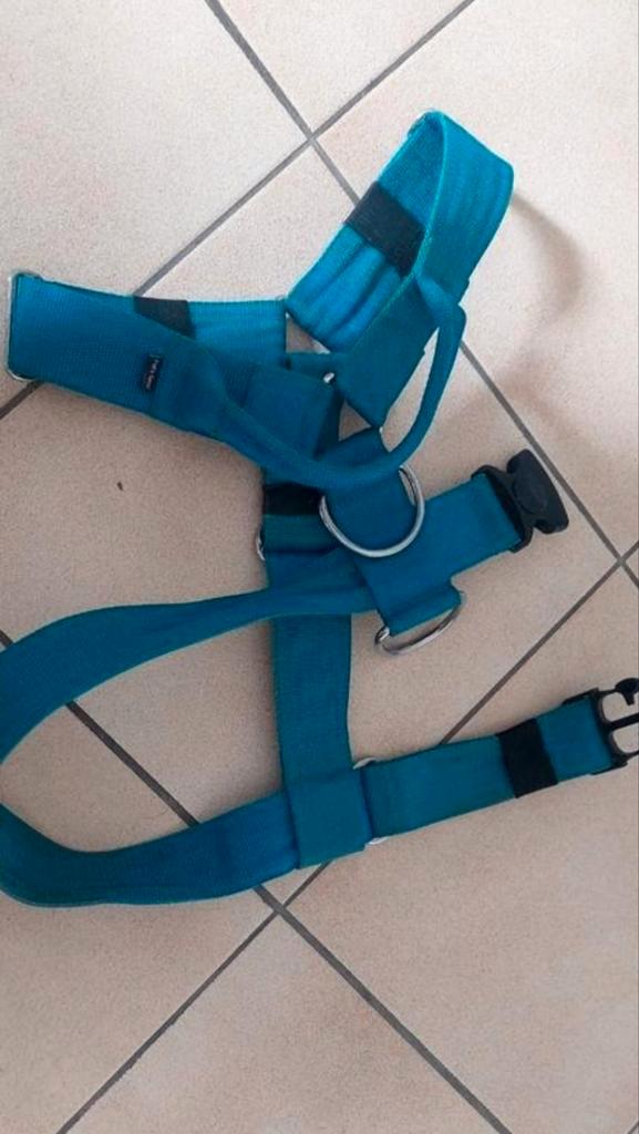 Dit stevige, op maat gemaakte hondentuigje, Dieren en Toebehoren, Hondenriemen, Zo goed als nieuw, Ophalen