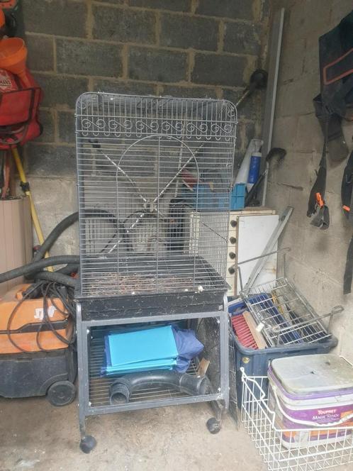 Cage pour perroquet., Dieren en Toebehoren, Vogels | Hokken en Kooien