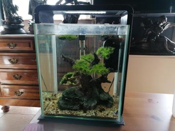 Aquarium. 40 l, Dieren en Toebehoren, Ophalen of Verzenden, Zo goed als nieuw