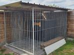 Hondenren +hok, Dieren en Toebehoren, Ophalen, 100 cm of meer, Hondenhok, 110 cm of meer
