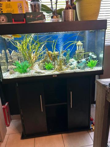 Aquarium Juwel Rio, 180 disponible aux enchères