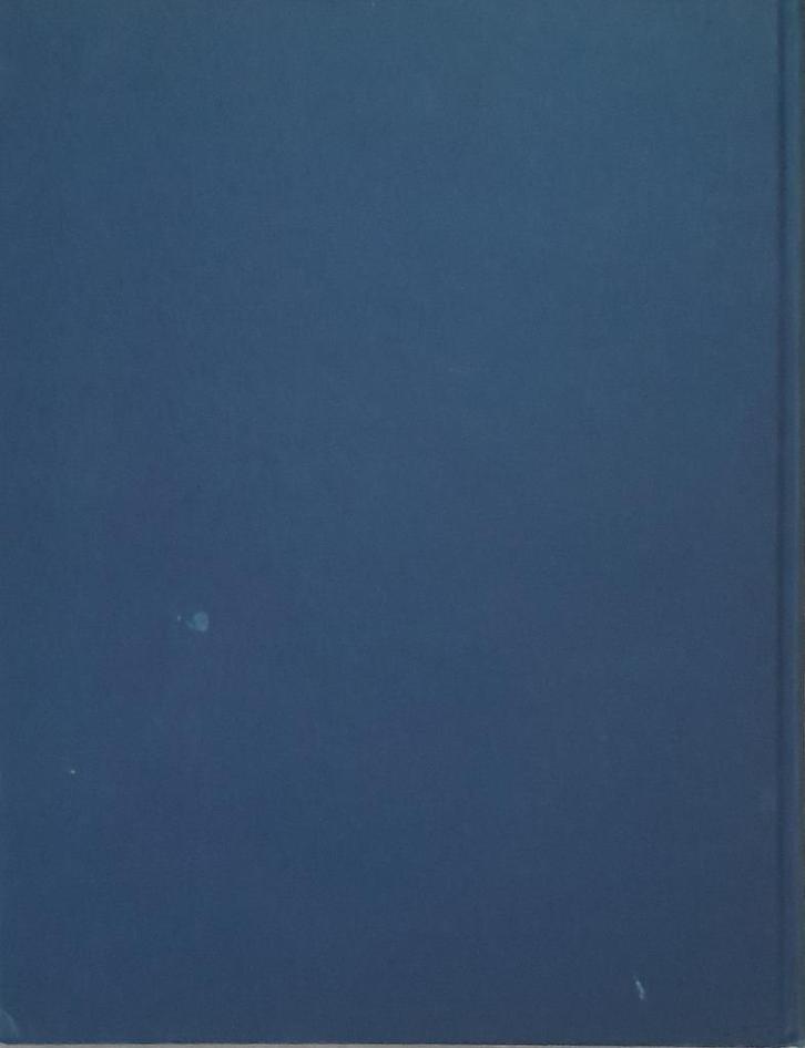De Eerste Wereldoorlog — Susan Everett — France Lois, Boeken, Oorlog en Militair, Zo goed als nieuw, Algemeen, Voor 1940, Ophalen of Verzenden