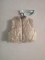 Nieuwe bodywarmer L, ANDERE, Beige, Maat 42/44 (L), Nieuw