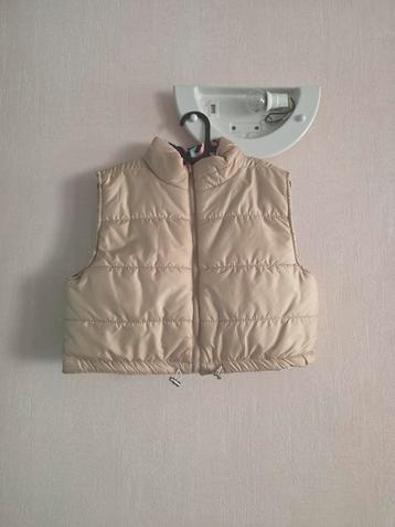 Nieuwe bodywarmer L beschikbaar voor biedingen