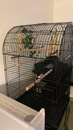 Vogelkooi, Ophalen, Zo goed als nieuw, Vogelkooi