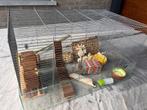 kooi voor knaagdieren met toebehoren, Dieren en Toebehoren, Kooi, Hamster, Zo goed als nieuw, 75 tot 110 cm