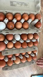 Verse eieren los lopende kippen Stokrooi, Divers, Produits alimentaires, Enlèvement ou Envoi