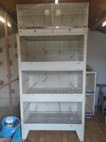 3 grandes cages en métal en un bloc beschikbaar voor biedingen