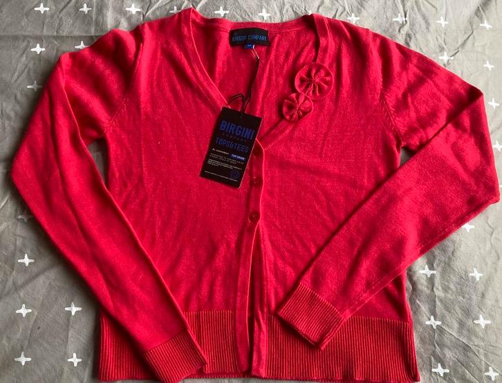 Nieuw truitje Birgini maat 16 jaar, Kinderen en Baby's, Kinderkleding | Maat 176, Zo goed als nieuw, Meisje, Trui of Vest, Ophalen of Verzenden