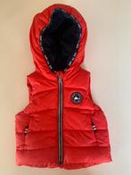 Bodywarmer babyclub mt 56 nieuw, Kinderen en Baby's, Babykleding | Maat 56, Jongetje of Meisje, Nieuw, Babyclub, Ophalen of Verzenden