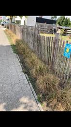 Grassen gratis op te halen in Herentals, Tuin en Terras, Ophalen