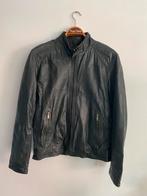 Lederen Jas - Massimo Dutti - Groen - XL, Ophalen, Maat 56/58 (XL), Zo goed als nieuw, Massimo Dutti