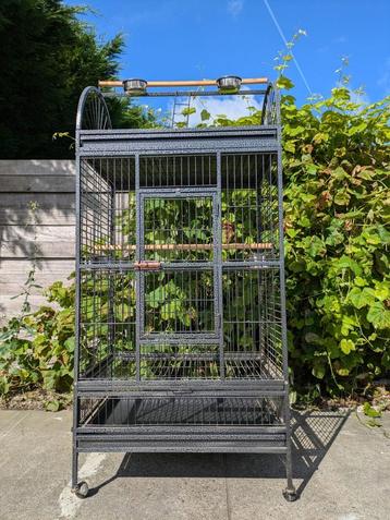 papegaaienkooi Queen - 220 beschikbaar voor biedingen