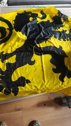 Vlag Vlaamse leeuw, Diversen, Vlaggen en Wimpels, Ophalen of Verzenden, Zo goed als nieuw