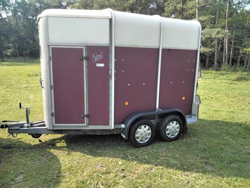 Ifor williams hb 505, Dieren en Toebehoren, Paarden en Pony's | Trailers en Aanhangwagens, Gebruikt, 2-paards trailer, Overige materialen