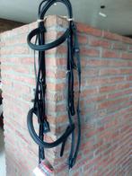 bridon kieffer NEUF, Animaux & Accessoires, Enlèvement ou Envoi