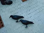 2 duiven, dierenverjager kraaien, Enlèvement, Comme neuf